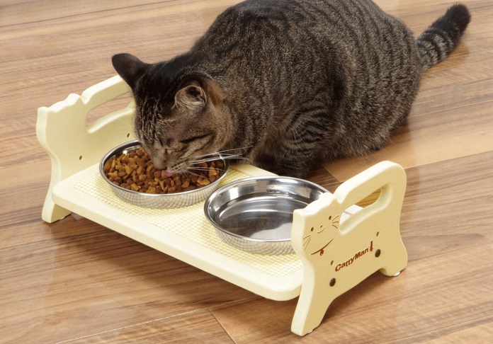 Cách giảm cân cho mèo