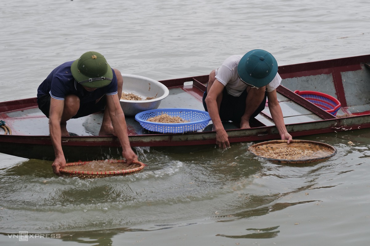 Con vờ là con gì? Có ăn được không? Giá bao nhiêu tiền?